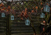 Dateiname=Verena_Leber_Laternen_im_Baum.jpg
Dateigröße=237KB
Abmessungen: 1200x841
hinzugefügt am: 30. November 2021 Verena_Leber_Laternen_im_Baum.jpg