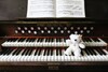 Dateiname=Verena_Leber_Lotte_beim_Harmoniumspiel.jpg
Dateigröße=154KB
Abmessungen: 1200x804
hinzugefügt am: 10. Mai 2024 Verena_Leber_Lotte_beim_Harmoniumspiel.jpg