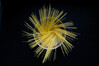 Dateiname=Verena_Leber_Spaghetti.jpg
Dateigröße=582KB
Abmessungen: 1200x800
hinzugefügt am: 21. Februar 2021 Verena_Leber_Spaghetti.jpg
