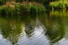 Dateiname=Verena_Leber_Stadtparkteich.jpg
Dateigröße=241KB
Abmessungen: 1200x795
hinzugefügt am: 23. September 2024 Verena_Leber_Stadtparkteich.jpg