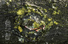Dateiname=Verena_Leber____Spross_aus_einem_gefaellten_Baumstamm.jpg
Dateigröße=384KB
Abmessungen: 1200x781
hinzugefügt am: 26. Februar 2022 Verena_Leber____Spross_aus_einem_gefaellten_Baumstamm.jpg
