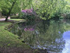 Dateiname=p001_b-1.jpg
Dateigröße=898KB
Abmessungen: 1200x900
hinzugefügt am: 30. Mai 2021 p001_b-1.jpg
