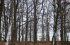 Dateiname=x_Perla_im_Wald.JPG
Dateigröße=1380KB
Abmessungen: 1200x773
hinzugefügt am: 10. März 2023 x_Perla_im_Wald.JPG