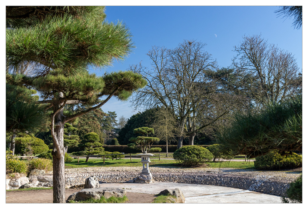 Alles im Park  "Japanischer Garten im Nordpark"
Marianne
Schlüsselwörter: 2025