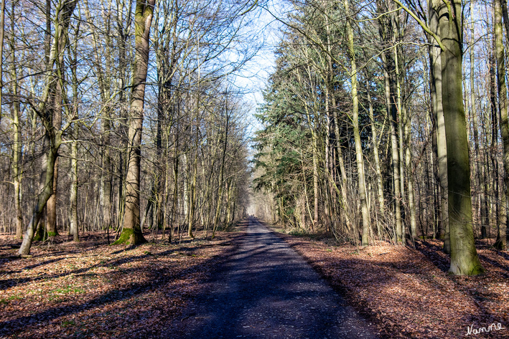 Weg
Schlüsselwörter: 2025