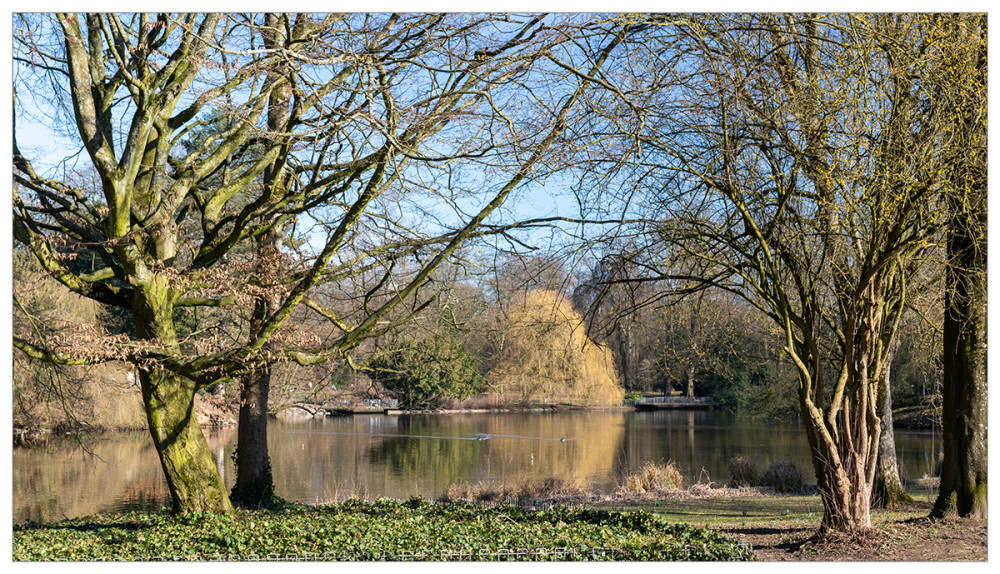 Alles im Park  "Blick über den Teich"
Marianne
Schlüsselwörter: 2025