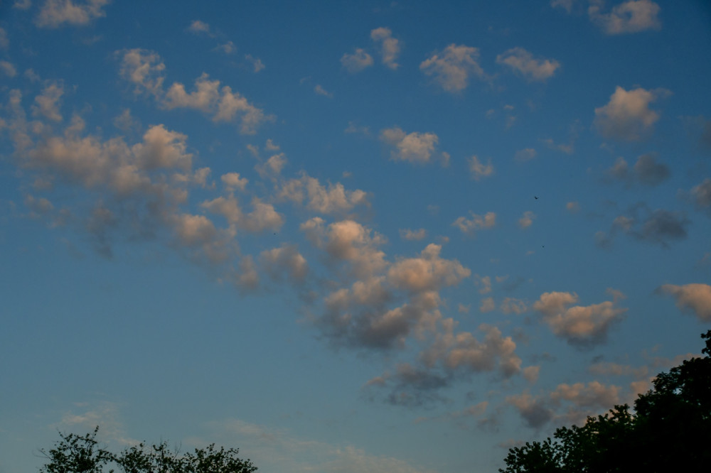 Am Himmel "Cirrocumuluswolken"
Perla
