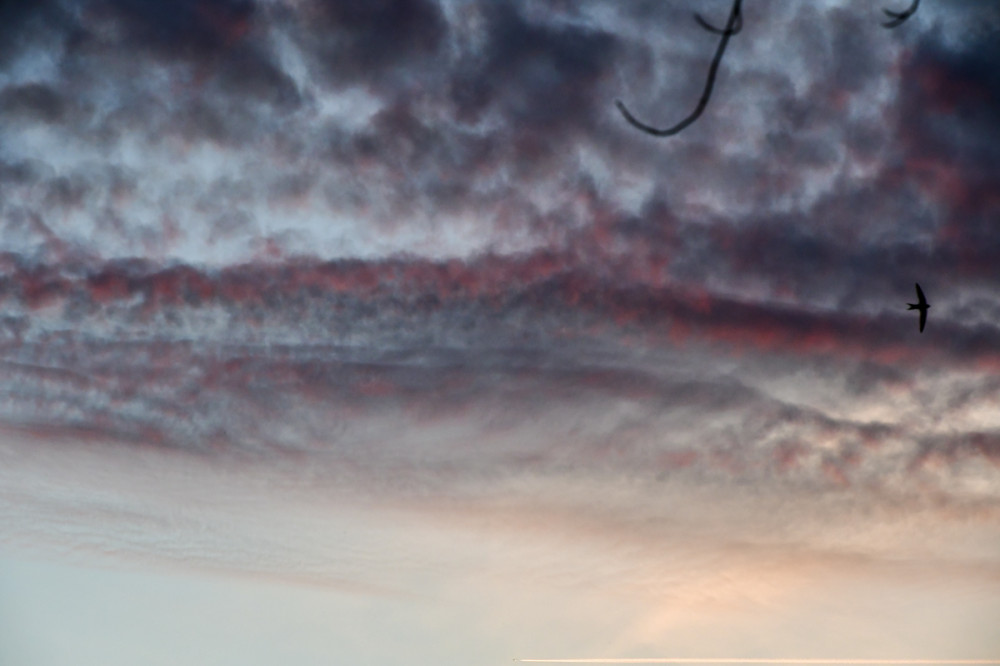 Am Himmel "Dämmerung"
Roland
Schlüsselwörter: 2025