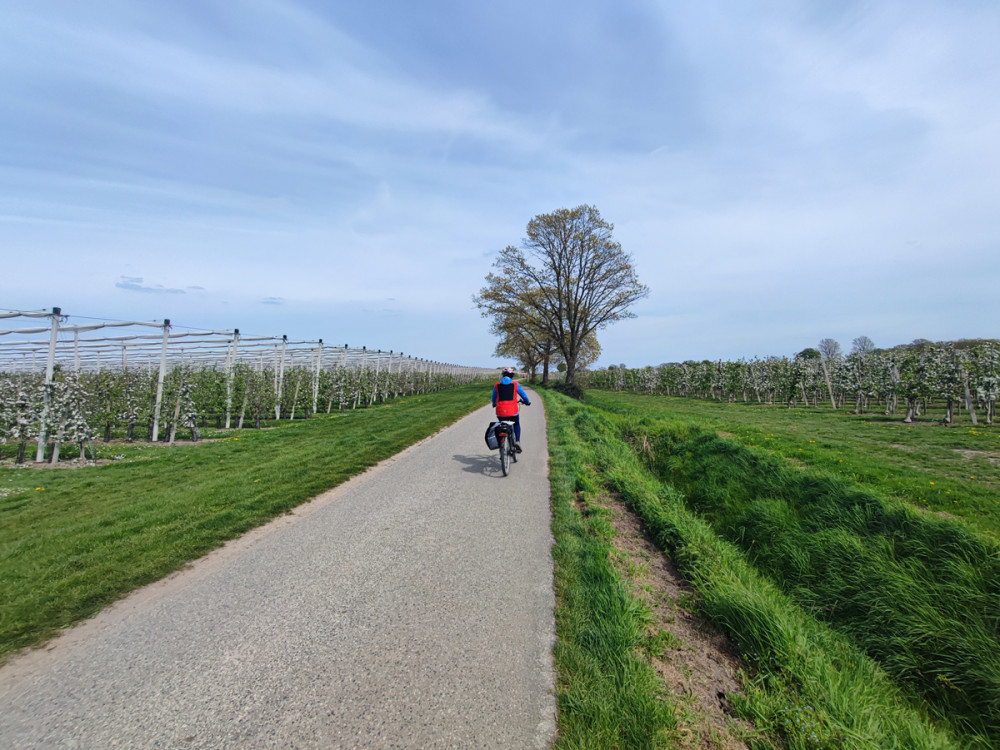 Apfelanbaugebiet Huverheide bei Tönisvorst
Schlüsselwörter: 2026