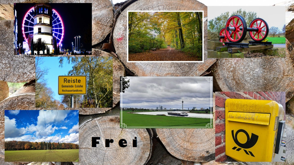 Thema „Frei“  im November 2025
Schlüsselwörter: 2025