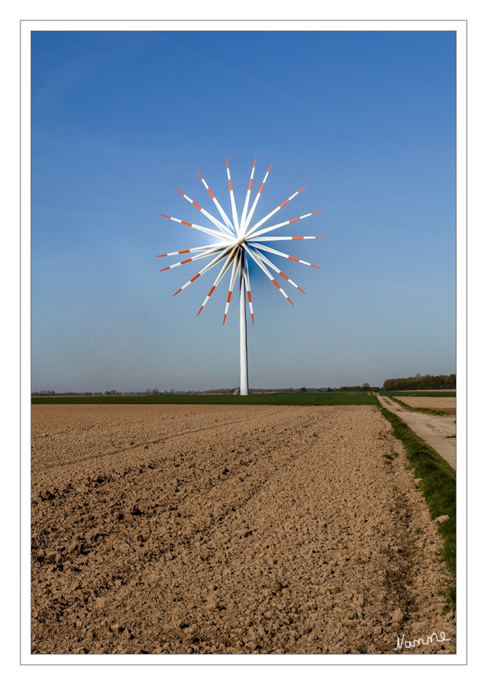 15 - Eine besondere Blume 1. Versuch
Schlüsselwörter: 2026