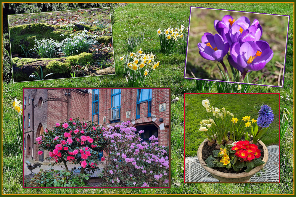 Frühlingserwachen  „Blümchenparade“
Elise
Schlüsselwörter: 2026