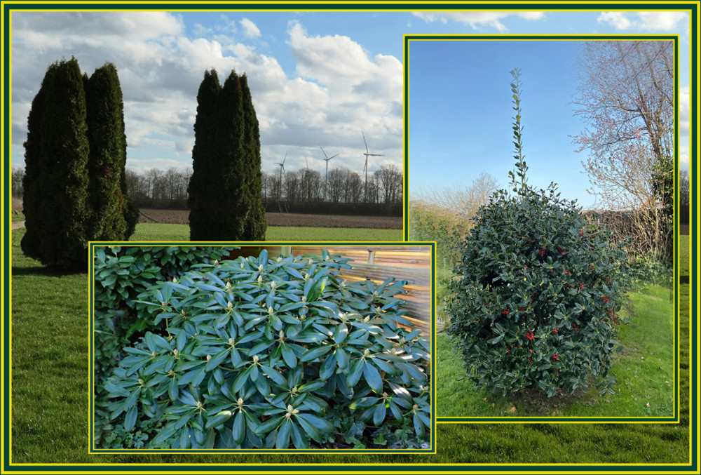 Frühlingserwachen  „Es grünt so kräftig grün“
Elise
Schlüsselwörter: 2026