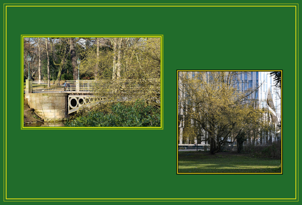 Frühlingserwachen  „Es grünt so zaghaft grün“
Elise
Schlüsselwörter: 2026