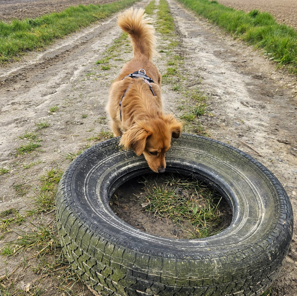 Frei  „Ich bin interessiert“
Chris
Schlüsselwörter: 2026