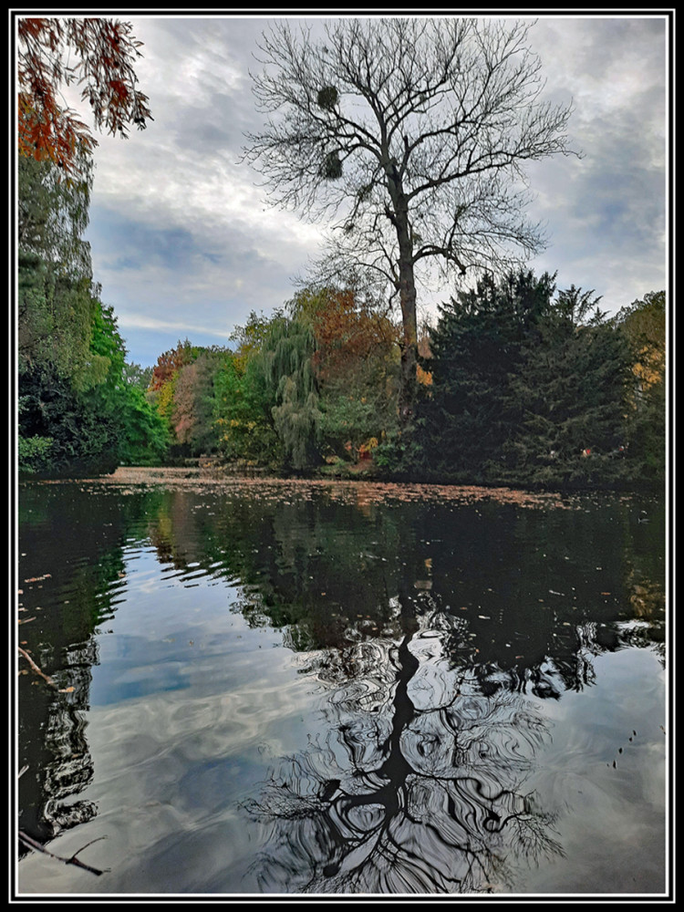 Frei  „Herbst - Kahler Baum“
Elise
Schlüsselwörter: 2025