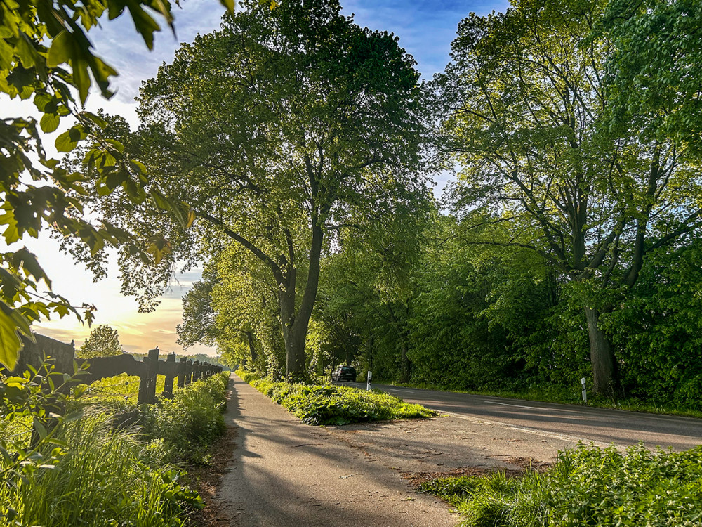 Frei  „Am Morgen“
Marianne
Schlüsselwörter: 2026