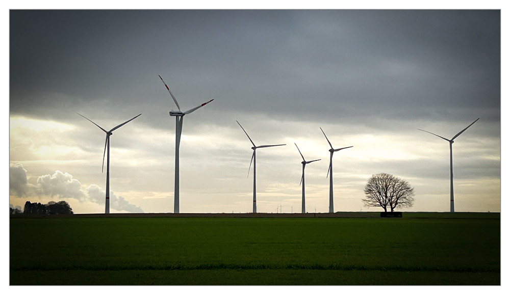 Frei  „Novemberlandschaft“
Marianne
Schlüsselwörter: 2025
