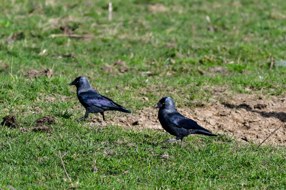 Frei  „Entdeckungstour“
Roland
Schlüsselwörter: 2026