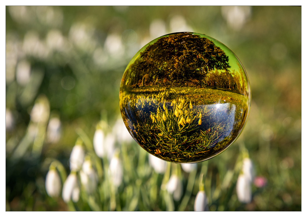 Frühlingserwachen  „Schneeglöckchen mal anders“
Marianne
Schlüsselwörter: 2026