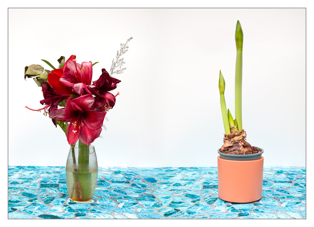 Gegensätze  „Alt-Jung“
Marianne
Schlüsselwörter: 2025