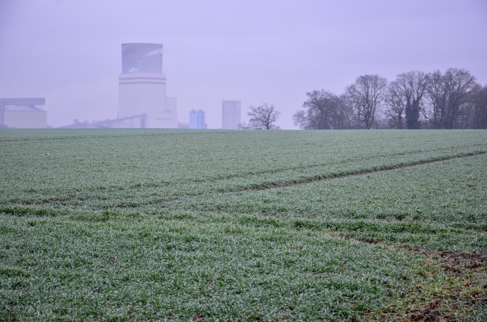 Gegensätze  „Landwirtschaft - Industrie“ im Nebel
Perla
Schlüsselwörter: 2025