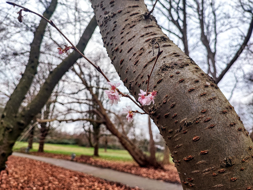 Gegensätze  „Frühlingsgefühle“
Manni
Schlüsselwörter: 2025