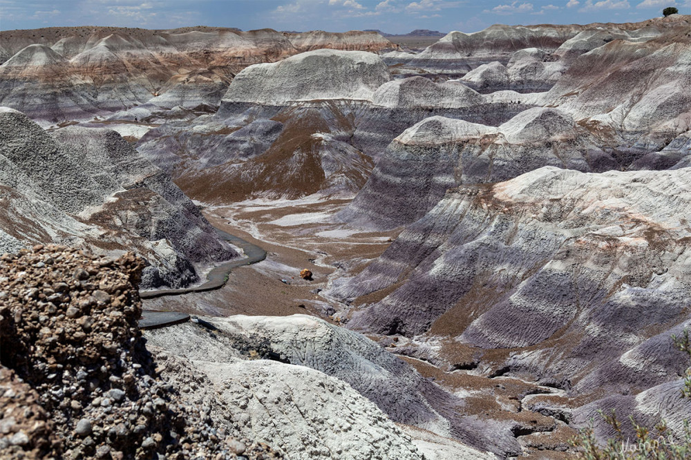 28 – Blue Mesa in Petrified Forest
Schlüsselwörter: 2025
