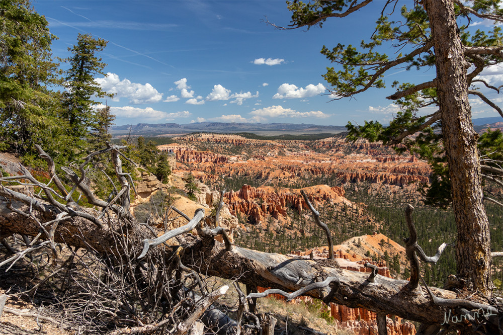 22 – Ausblick in den Bryce Canyon
Schlüsselwörter: 2025