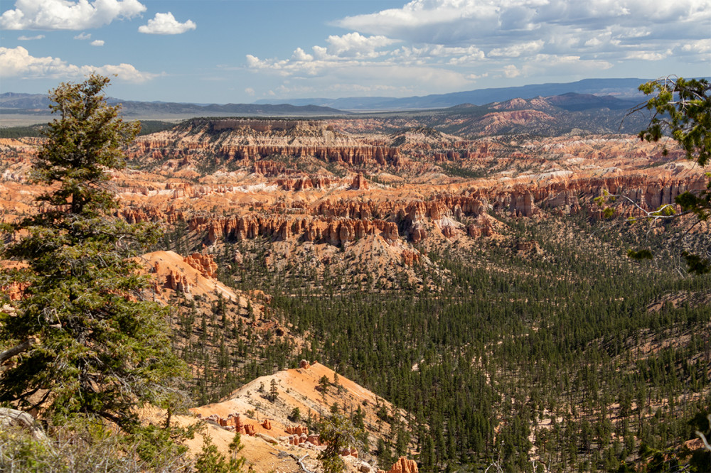 Landschaften  „Bryce Canyon“
Marianne
Schlüsselwörter: 2025
