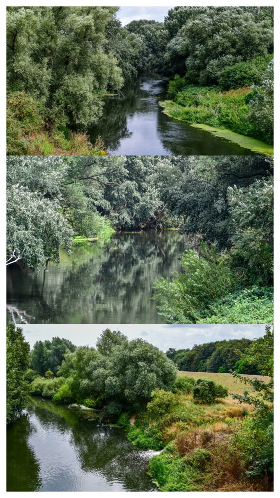 Am Fluss
Die Lippe ist ein weitgehend langsam fließender Tieflandfluss mit nur teilweise noch naturnahem Gewässerprofil u. stark geschwungenem Verlauf. (nrw.de)
Schlüsselwörter: 2026