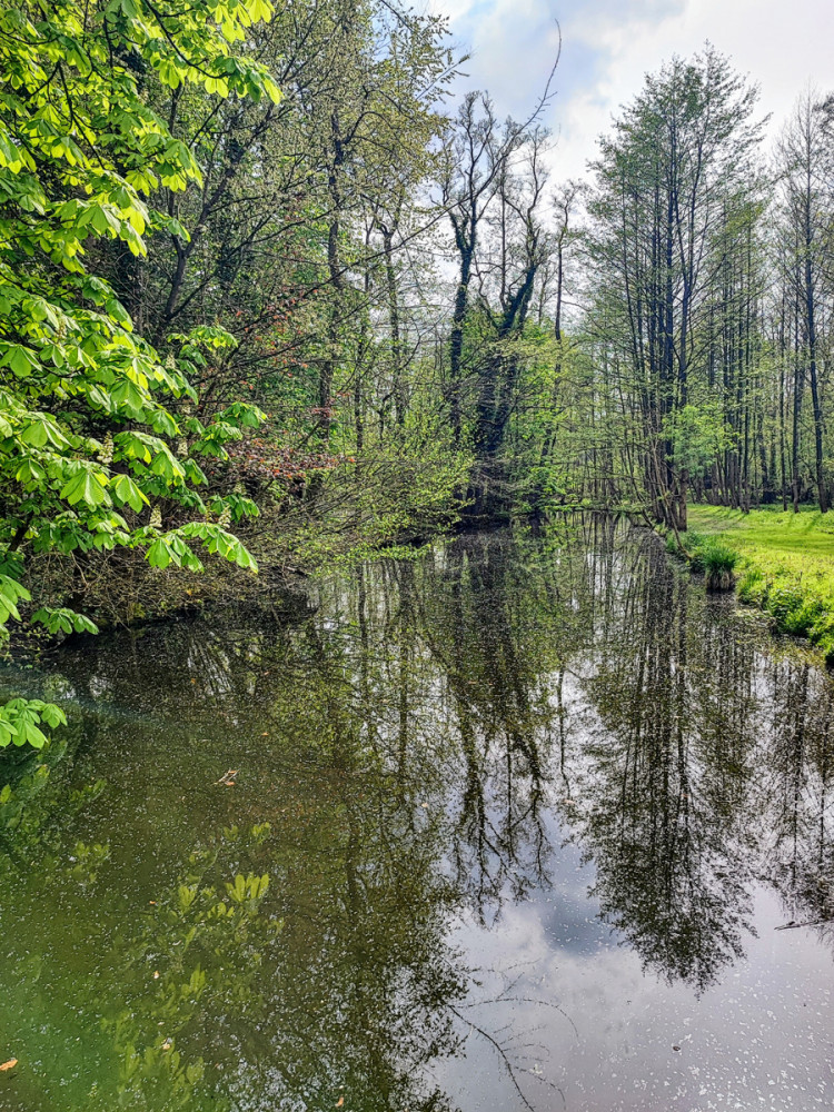 Frei  „Frühlingserwachen“
Manni
Schlüsselwörter: 2026