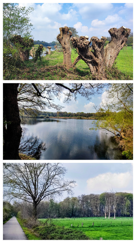 Nettetal
Schlüsselwörter: 2026