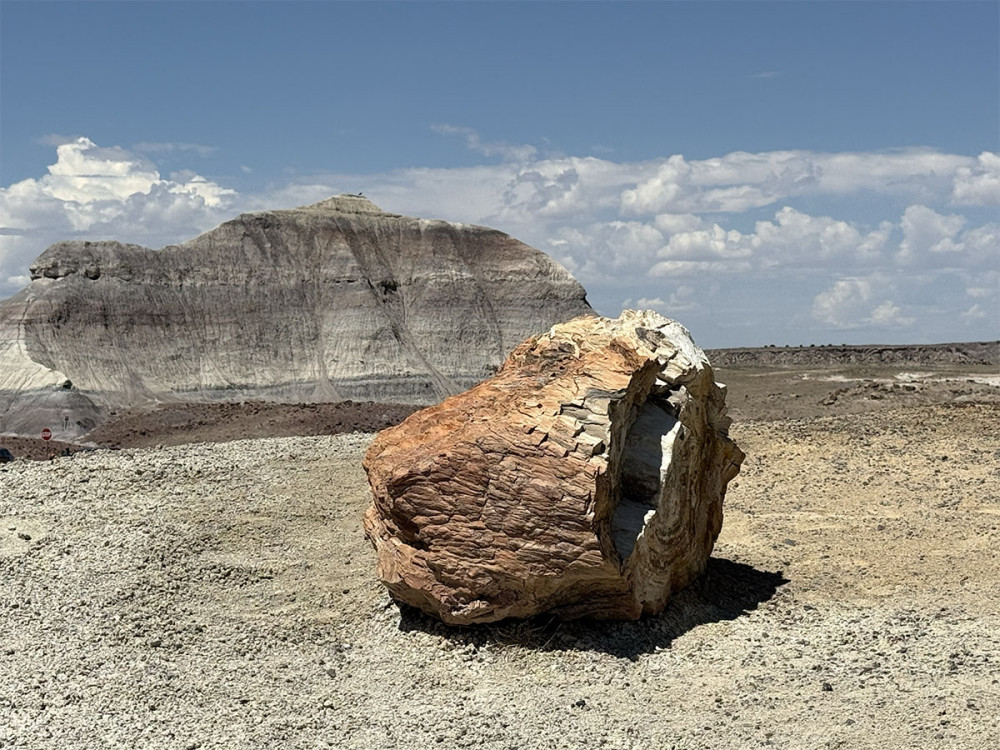 Freisteller  „Versteinertes Baumstück aus dem Petrified Forest“
Marianne
Schlüsselwörter: 2025