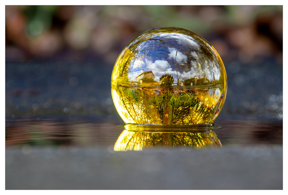 Frühlingserwachen  „Frühling, ich sehe dich“
Marianne
Schlüsselwörter: 2026