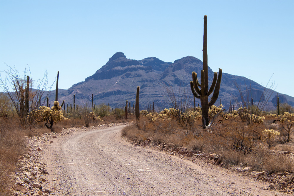 Landschaften  „Organ Pipe Cactus NM“
Marianne
Schlüsselwörter: 2025