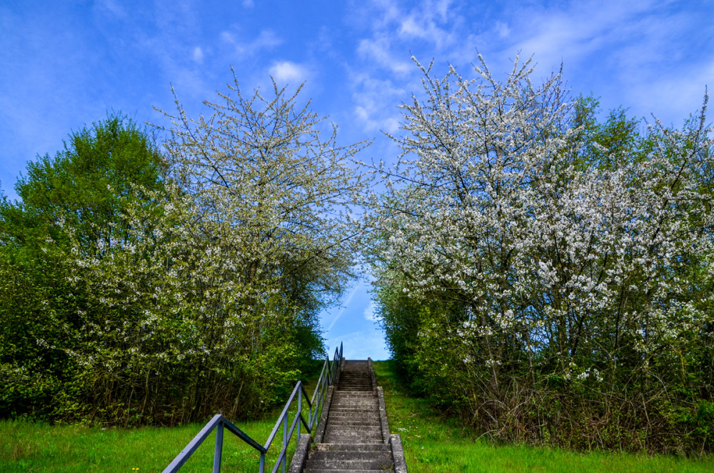 Frei  „Treppe“
Perla
Schlüsselwörter: 2026