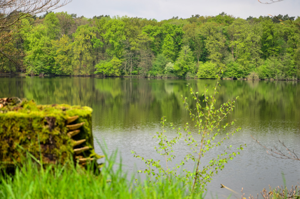 Landschaften  „Am See“
Perla
Schlüsselwörter: 2025