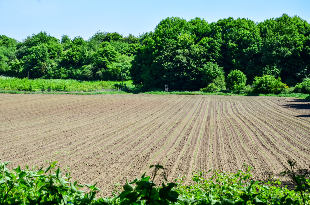Landschaften  „Landwirtschaftliche Nutzfläche“
Perla
Schlüsselwörter: 2025