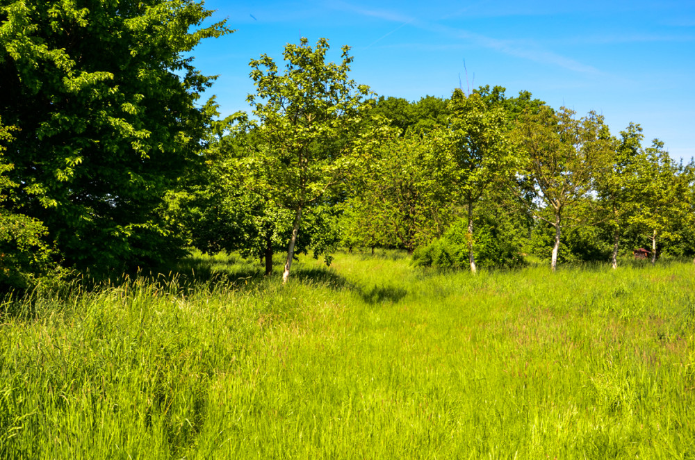 Landschaften  „Streuobstwiese“
Perla
Schlüsselwörter: 2025