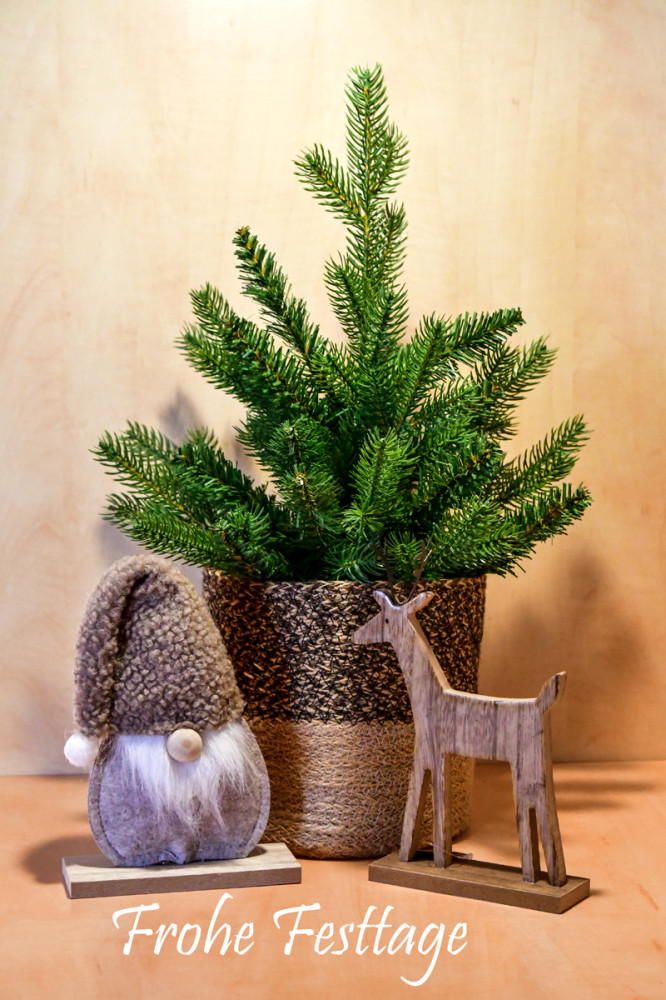 Weihnachten 2025
Schlüsselwörter: 2025