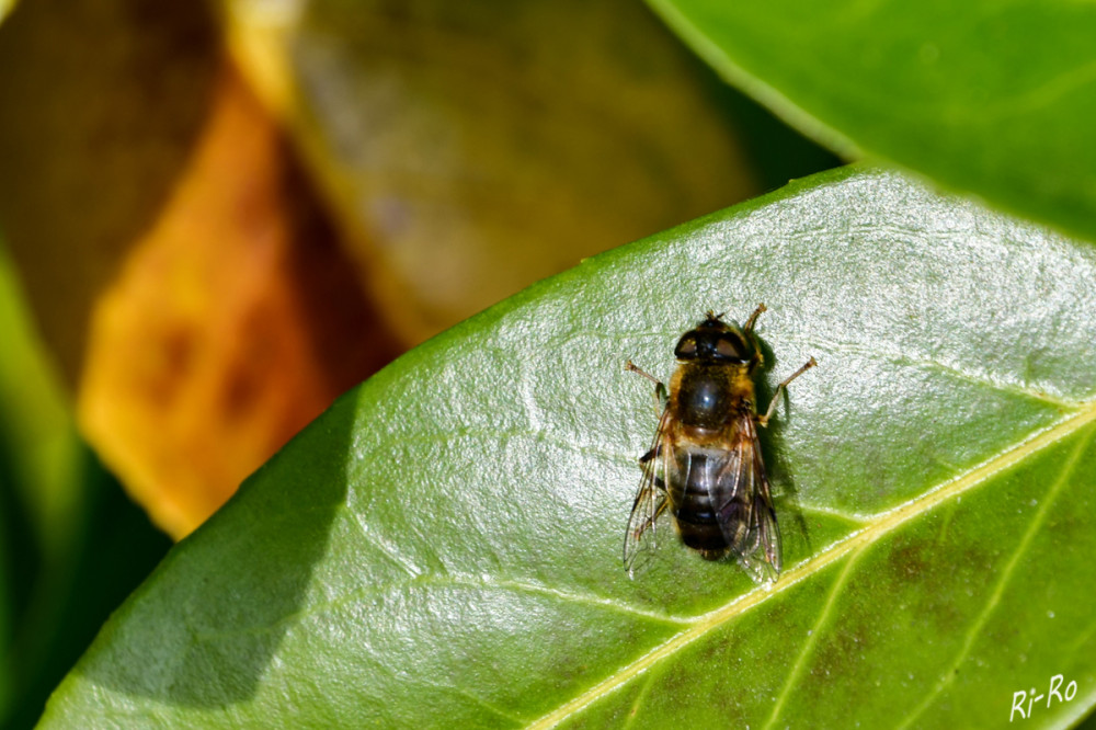 Gelandet
Schlüsselwörter: 2026