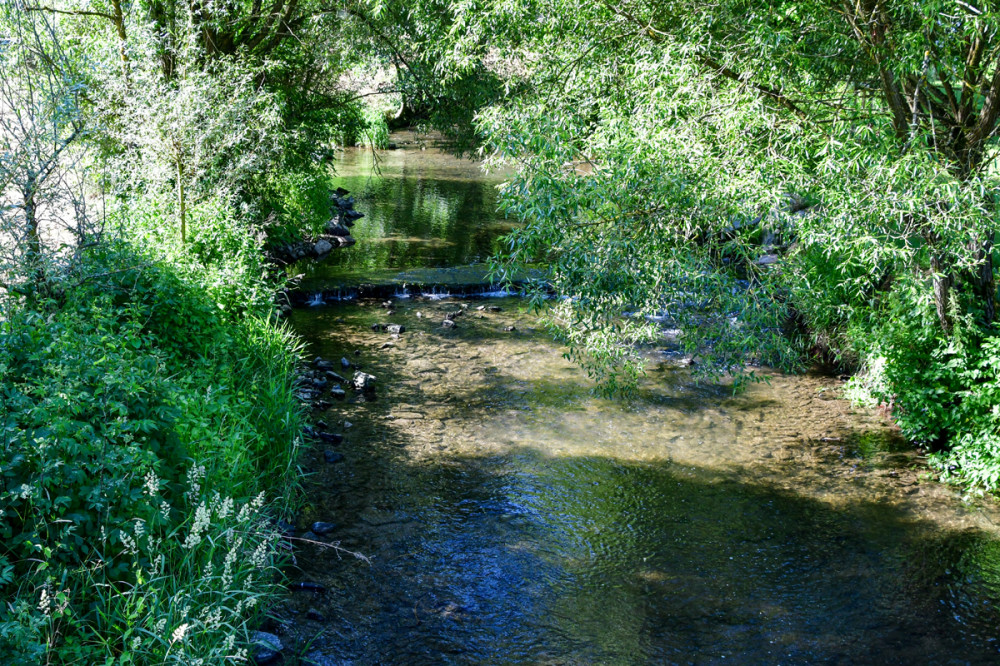 Fließgewässer
Betrachtet man einen natürlichen Bach, so fällt als Erstes die äußerlich sichtbare Vielfältigkeit auf: Langsam u. schnell fließendes Wasser wechseln ständig ab, Steine, Totholz u. Inseln unterbrechen den Lauf des Wassers. (klimabildung)
Schlüsselwörter: 2025