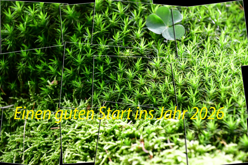 01. Januar 2026
ALLES GUTE
Schlüsselwörter: 2026