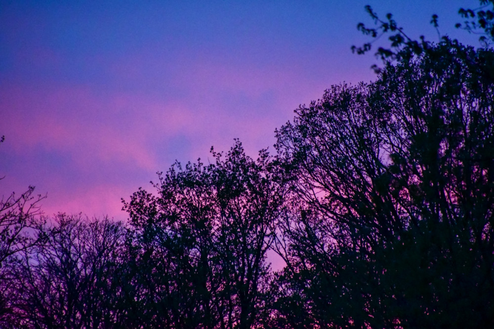 Farbige Wolken
bei Sonnenuntergang entstehen durch die Streuung des Sonnenlichts in der Atmosphäre, wenn es einen längeren Weg zurücklegt u. überwiegend rötliche Wellenlängen (Rot, Orange, Pink) übrig bleiben. (SRF)
Schlüsselwörter: 2026