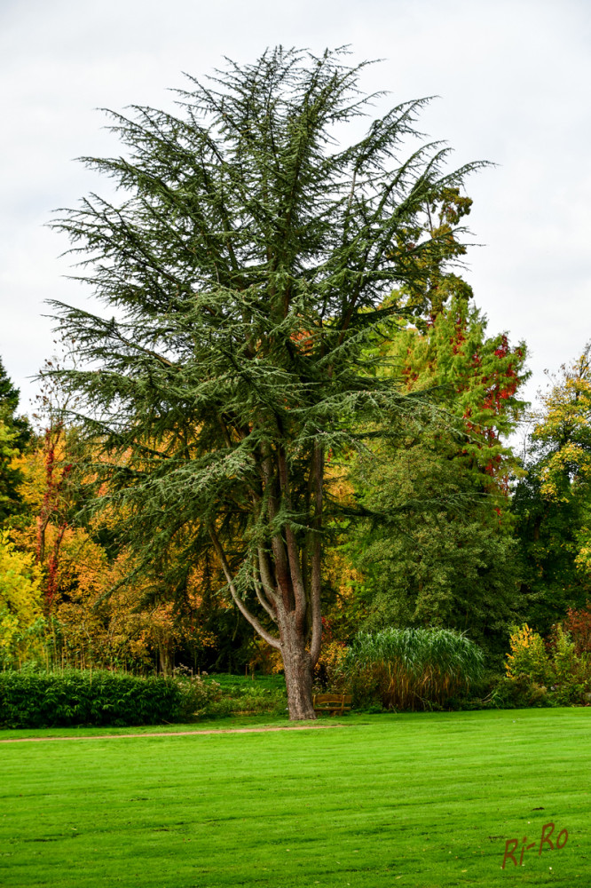 Herbstzauber
Der Herbst ist eine magische Jahreszeit, in der die Natur sich von ihrer buntesten Seite zeigt.
(SWR)

Schlüsselwörter: 2025