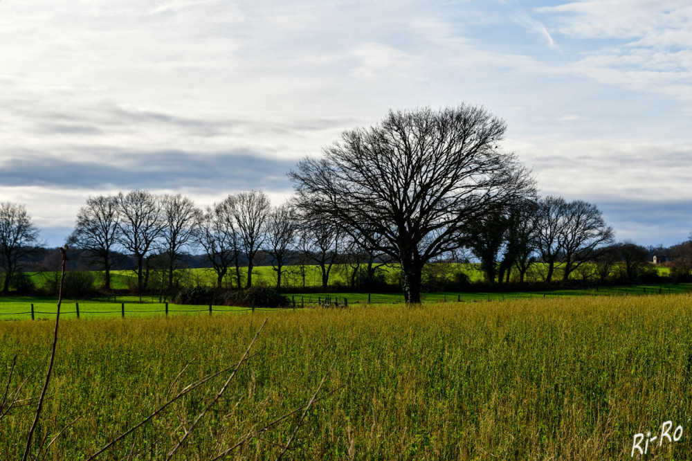 Bauernschaft
Schlüsselwörter: 2026