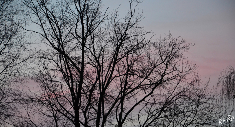 Morgenstimmung
Schlüsselwörter: 2026