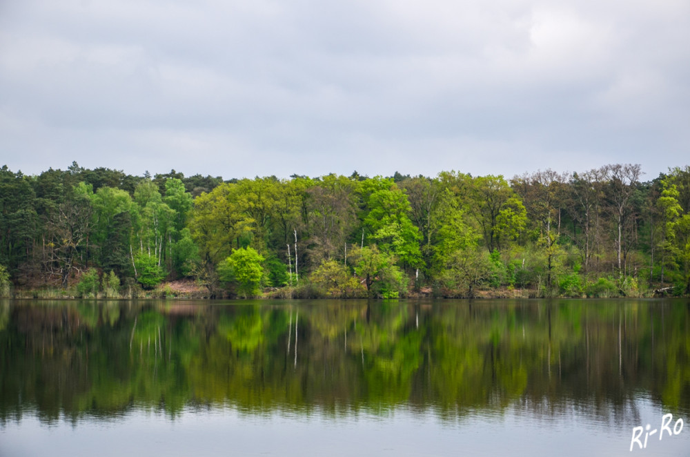 Von Ufer zu Ufer
Der Hullerner Stausee dient der Trinkwassergewinnung u. ist als idyllisches Ausflugsziel in naturbelassener Lage besonders bei Ruhesuchenden bekannt. (roemerlipperoute)
Schlüsselwörter: 2025
