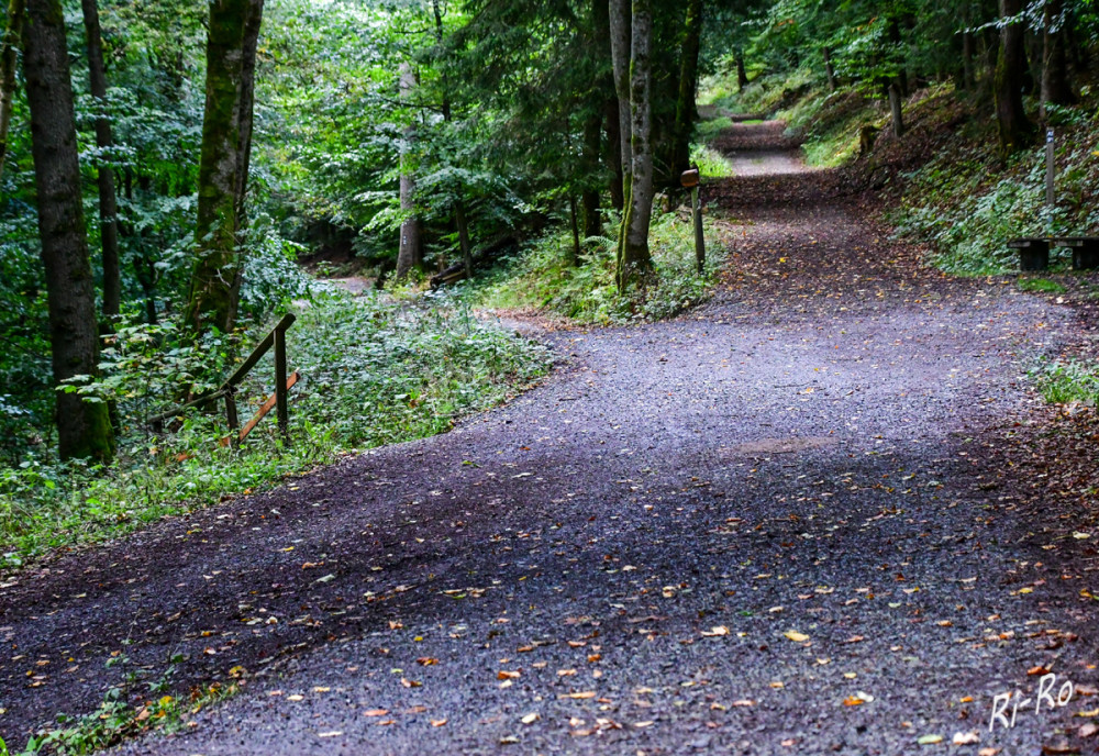 Wegkreuzung
Verschiedene Wege führen zum Zielort. Ein Spaziergang durch den herbstlichen Wald birgt oft magische Begegnungen.
Schlüsselwörter: 2026